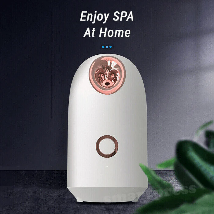 Nano Ion Facial Steamer Thermal Sprayer Face Cleanser Humidifier - Image 4